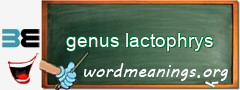 WordMeaning blackboard for genus lactophrys